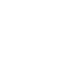 Custom Solutions icon