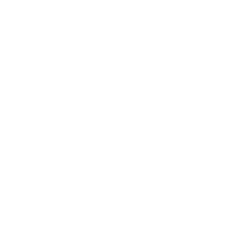 Customer Focus icon