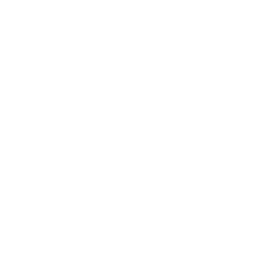 Free Consultation icon